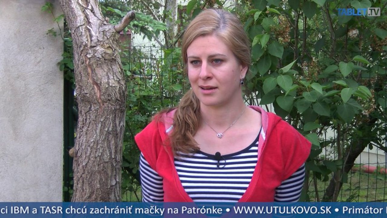 Dobrovoľníčky sa nezastavia, od začiatku roka zachraňovali 135 mačiek