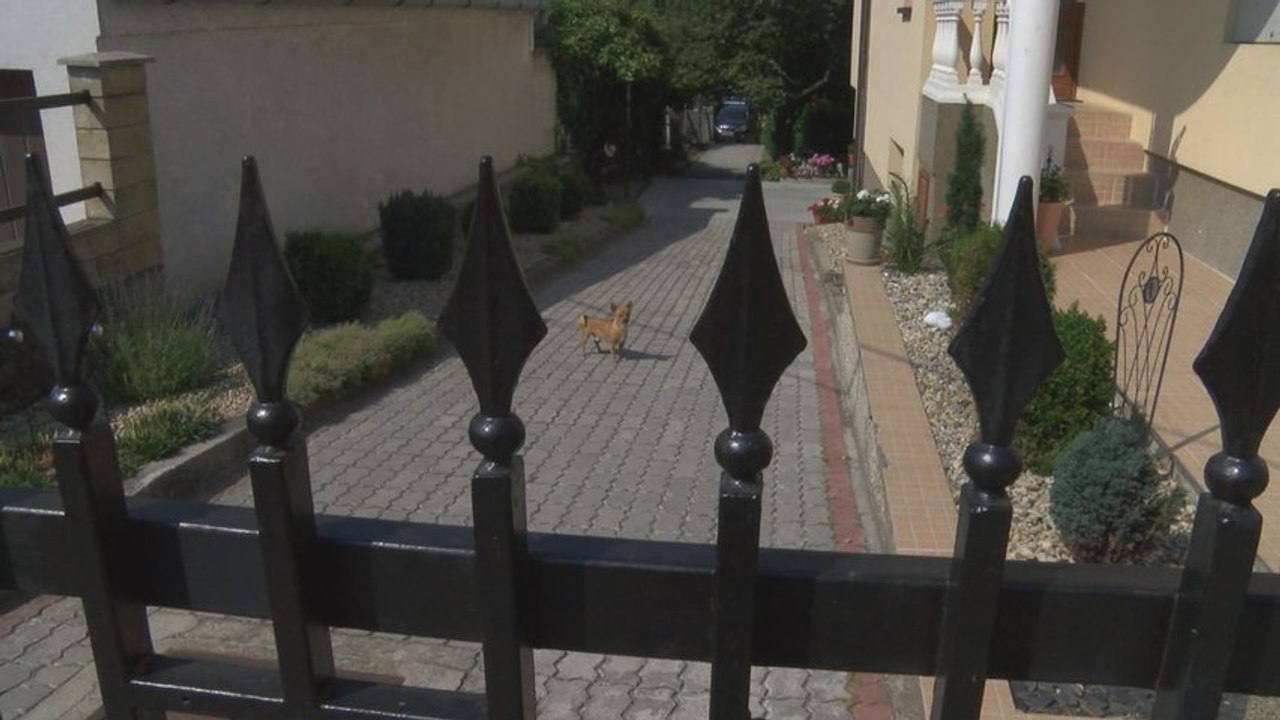 Pred odchodom na dovolenku si riadne zabezpečte domácnosť