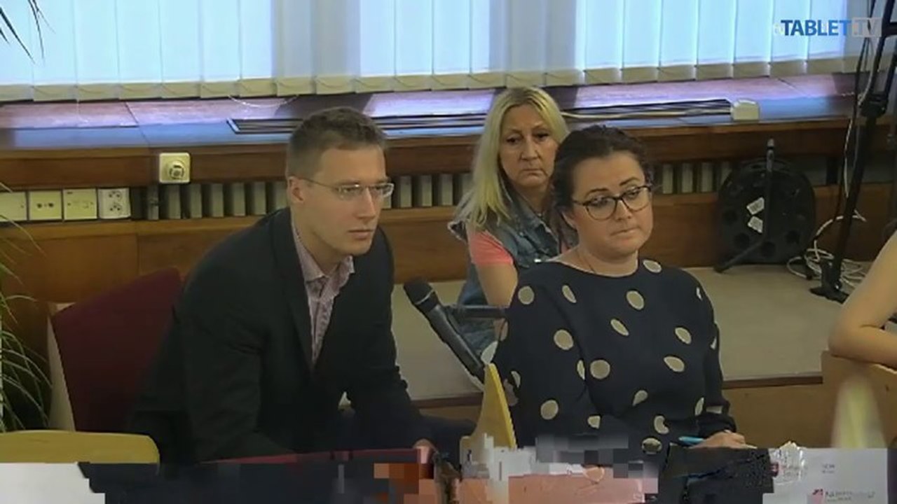 ZÁZNAM: SDKÚ-DS o tom, že daňové licencie splnili Ficov účel