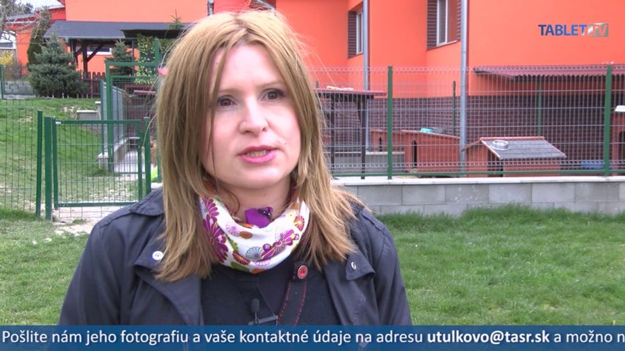 Pouličné mačky dennodenne bojujú o život