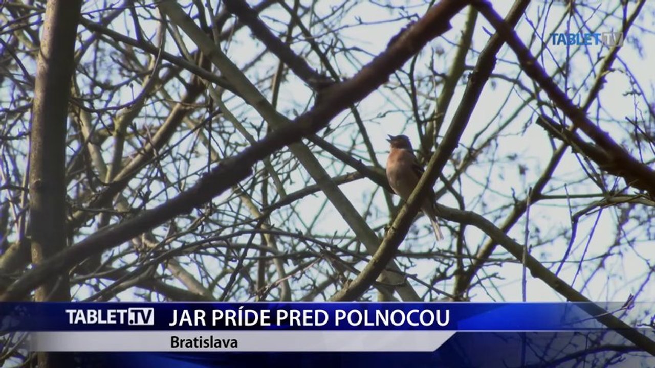 Rovnodennosť sa blíži, prvý jarný deň príde ešte pred polnocou