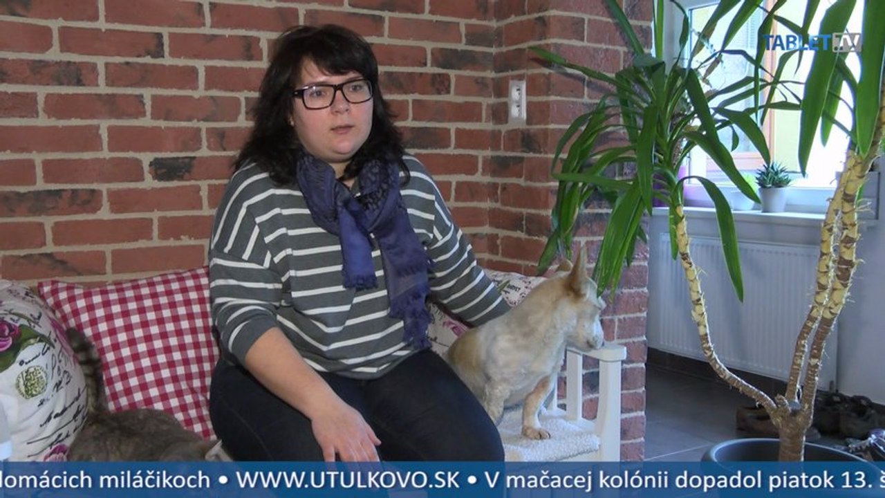 Päť psov a päť mačiek v jednom dome? Nič nemožné