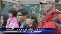 VIANOCNY PRIRASTOK V ZOO 1.1.2015