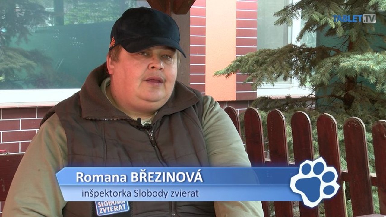 Množiteľský biznis na Slovensku prekvitá, sučky rodia ako na bežiacom páse