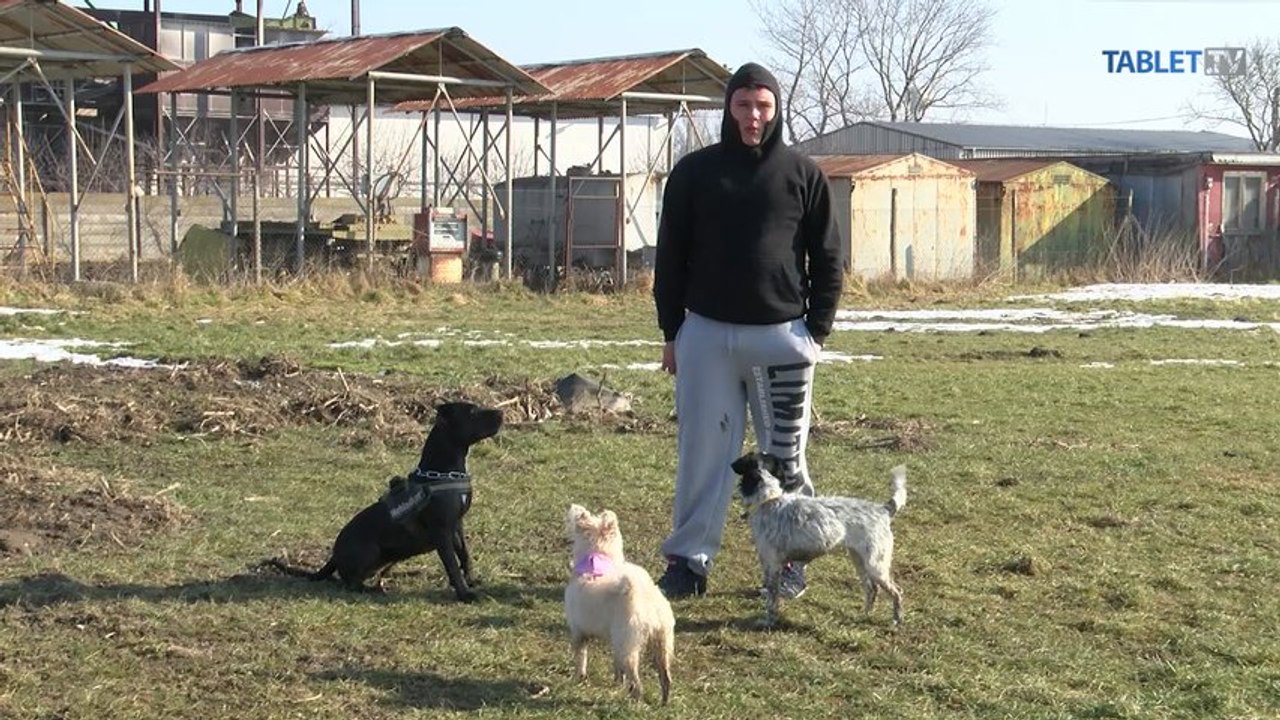 Slepý, hluchý a bez nôžky. Škoda, že Nikoline psy nevedia rozprávať