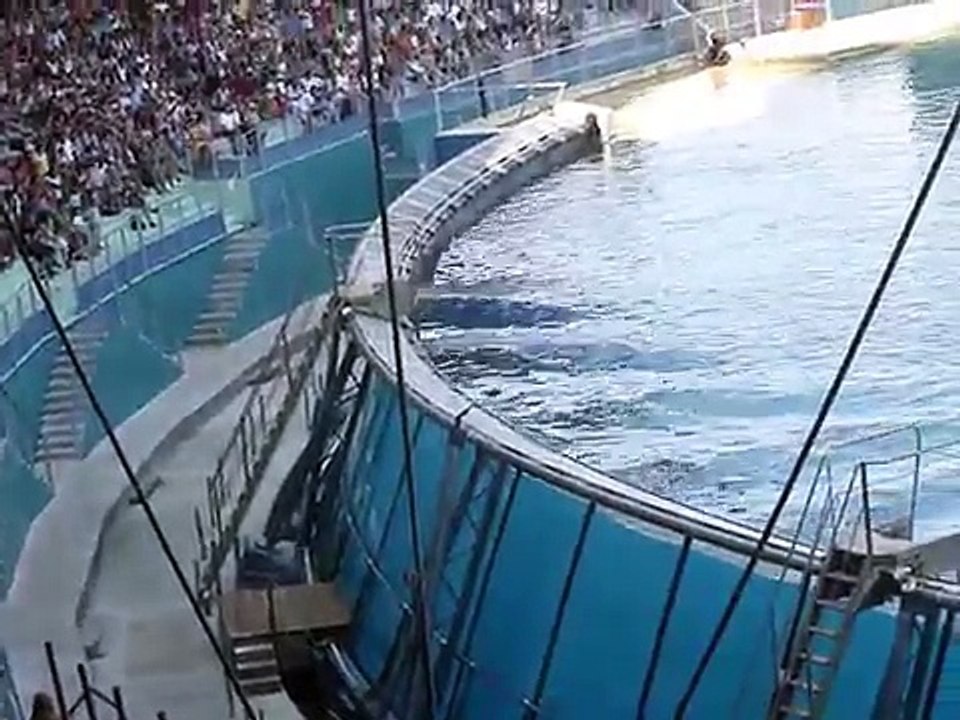 marineland