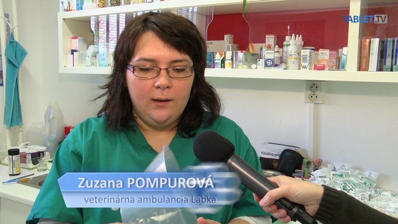 Arka dohrýzli psy v karanténnej stanici