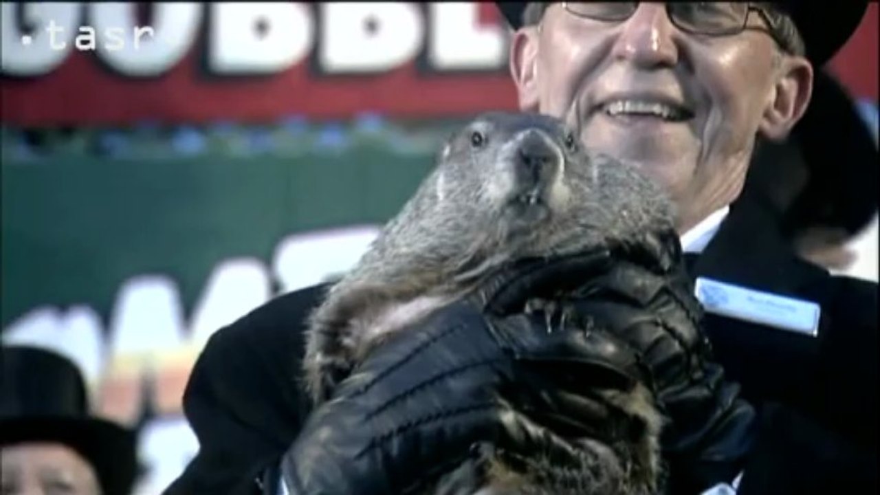 Svišť Phil predpovedal, že zima v USA potrvá ešte šesť týždňov