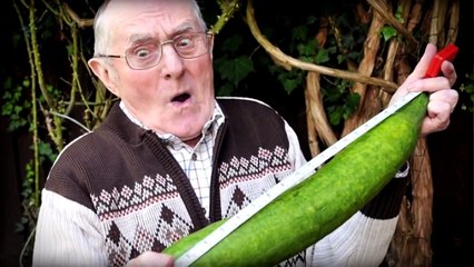 6 TRUCS A SAVOIR SUR LE PENIS DE L'HOMME par Poisson Fécond (Chris)