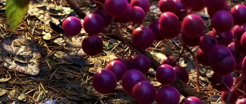 Le Voyage d'Arlo - Bande-annonce officielle