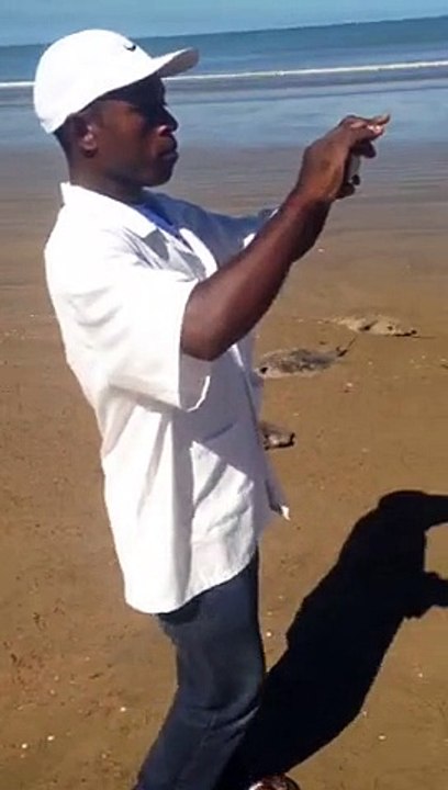 Dezenas de arraias são encontradas mortas na areia da Praia de Camburi em Vitória