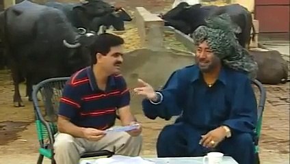 punjabi Old Man Funy Clips