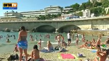 Les sauveteurs nageurs rassurent sur les plages marseillaises