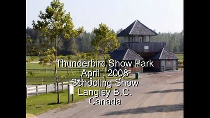 Holly Go Lightly Large Pony For Sale