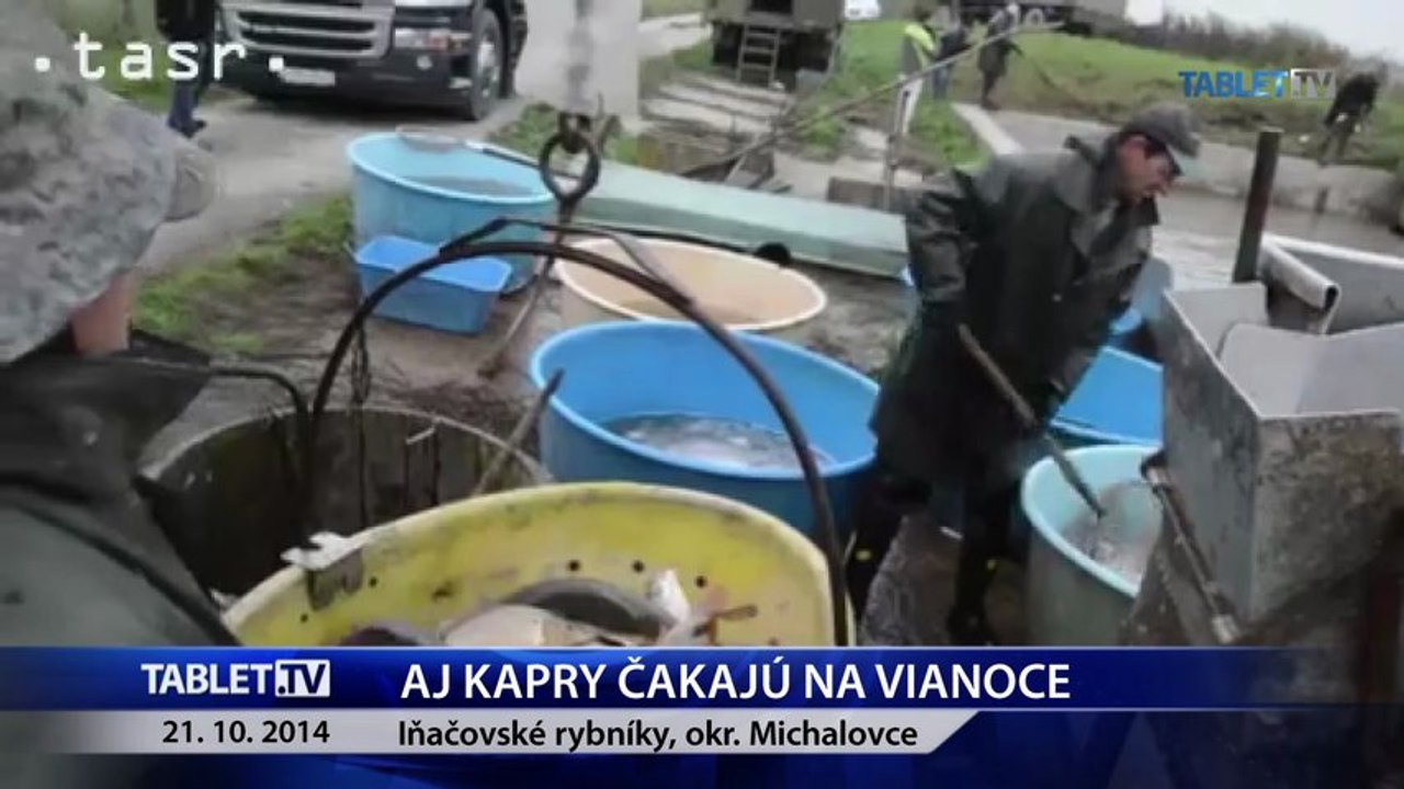 Na Iňačovských rybníkoch už lovia vianočného kapra