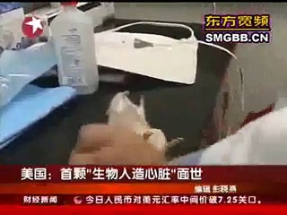 scientists produce artificial heart in the mice