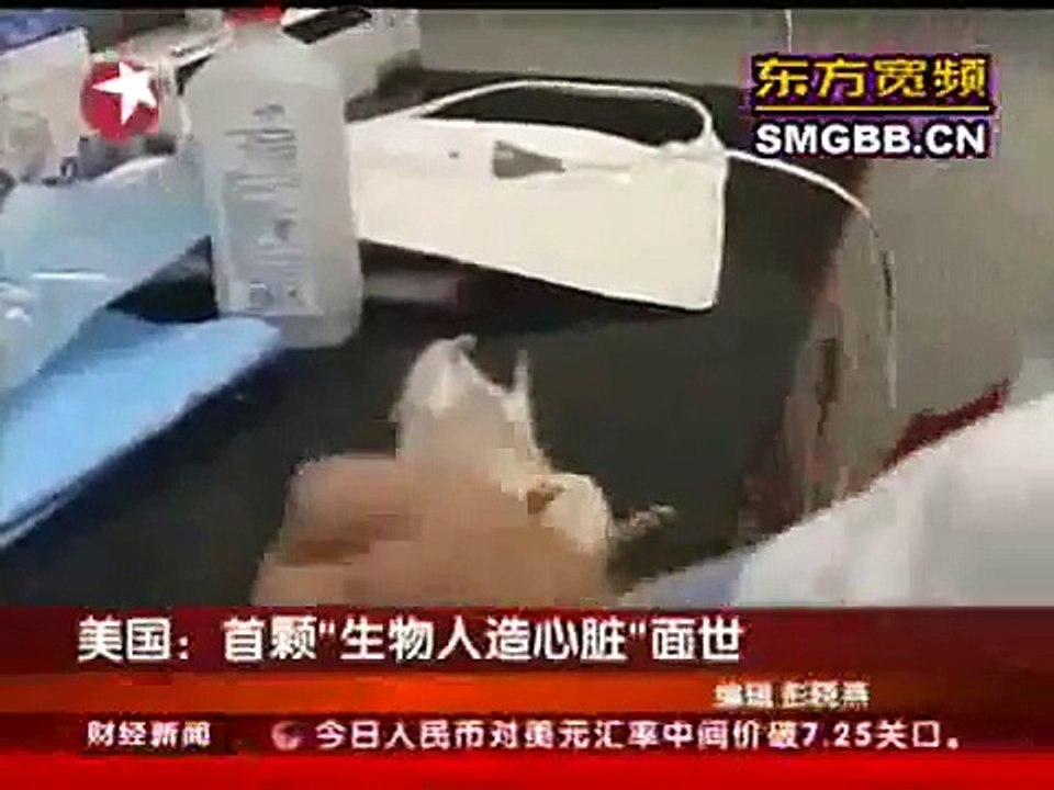 scientists produce artificial heart in the mice