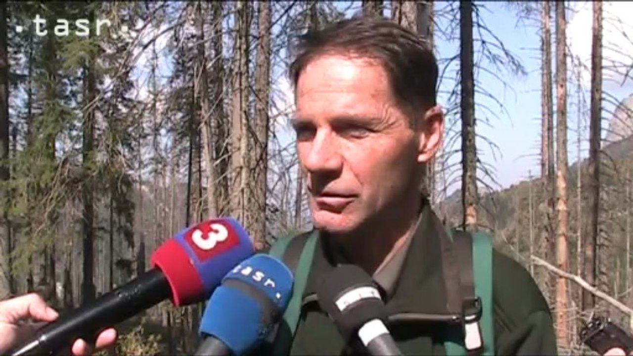 Hrozí lesom v Tatranskej Javorine zánik?