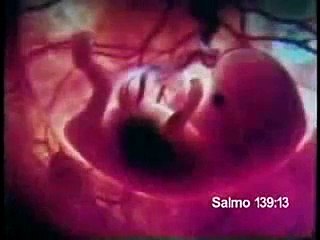 Carta de Deus Para Você.