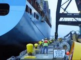 The Boats Of Dutch Harbor