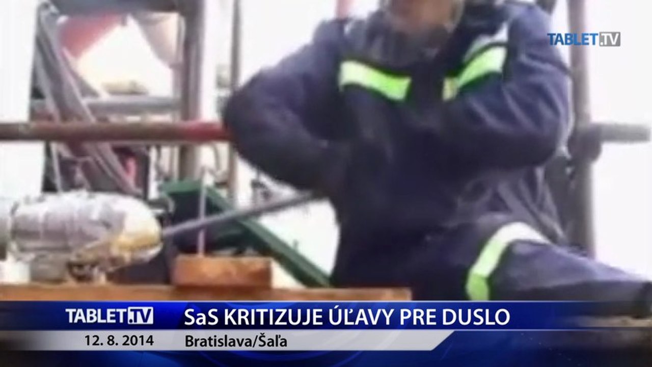 R. Sulík: Problémom Dusla Šaľa sú poplatky za plyn