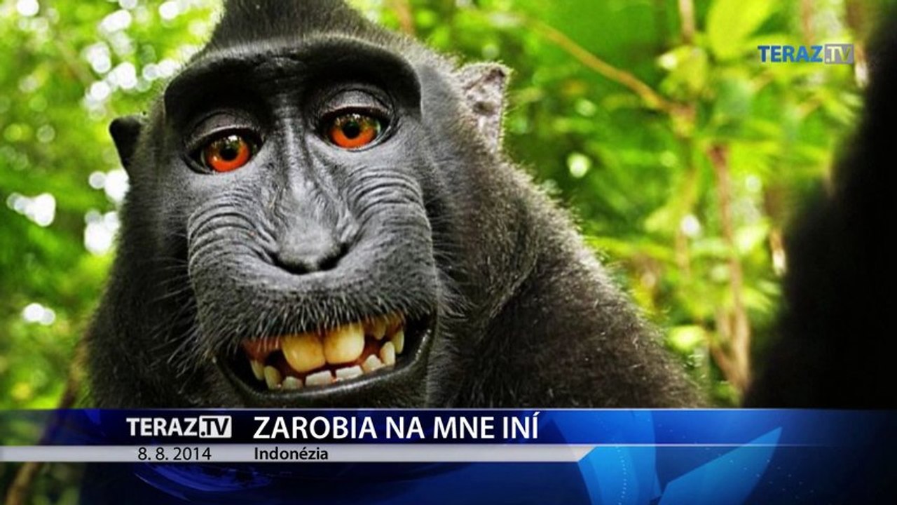 Večerné správy
