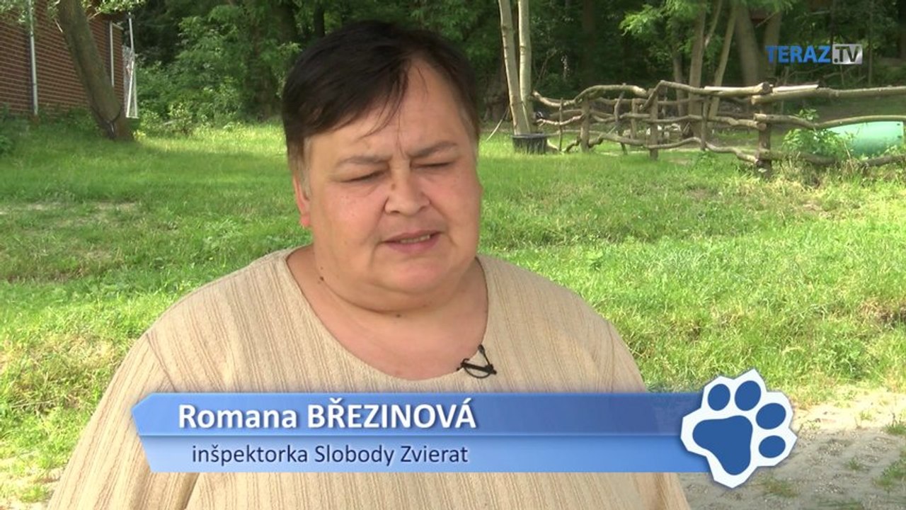 Na hraniciach zadržali desiatky nelegálnych šteniat z množiarne