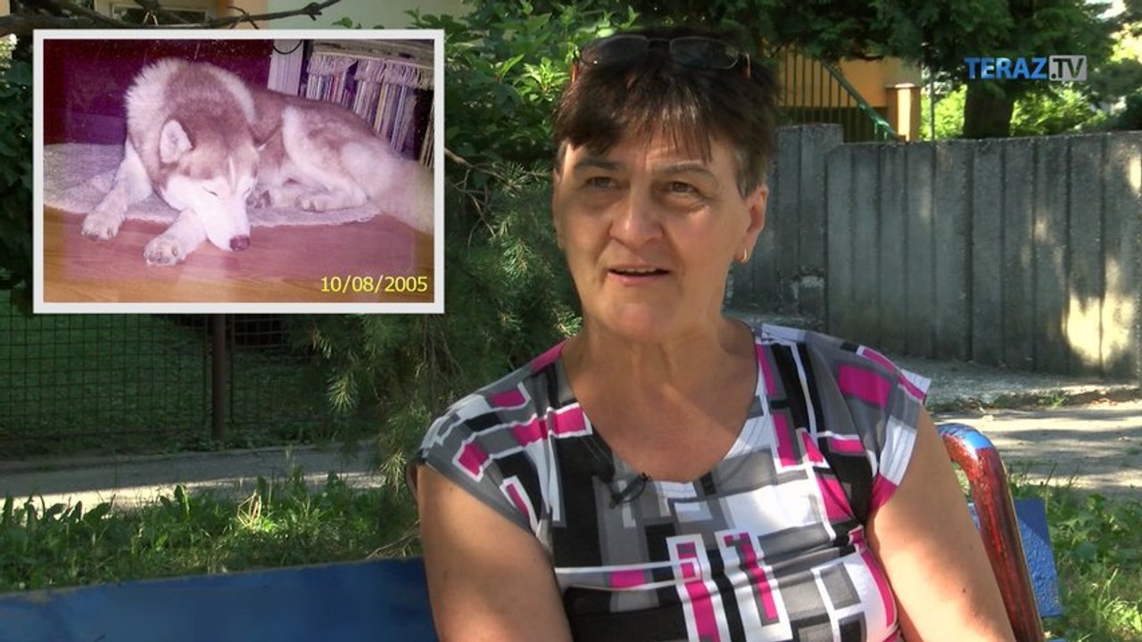 Nenásytná Laja šporťáčky Petry Ázacis zje všetko, čo nezje ju