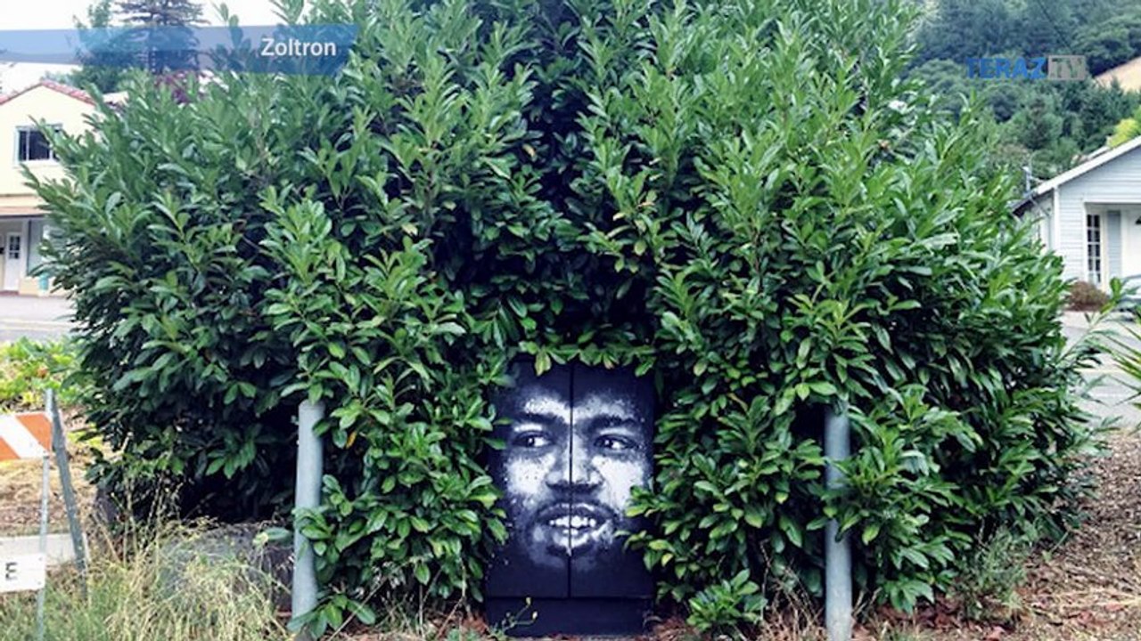 LIKE DŇA: Streetart a príroda
