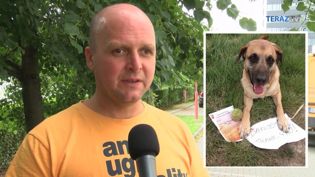 Naj útulkáč útočí na iných psov. Odučí sa to?