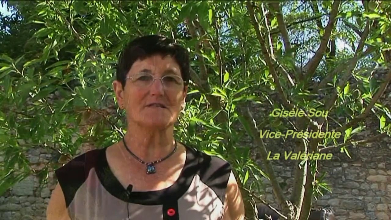 TROC PLANTES 2015