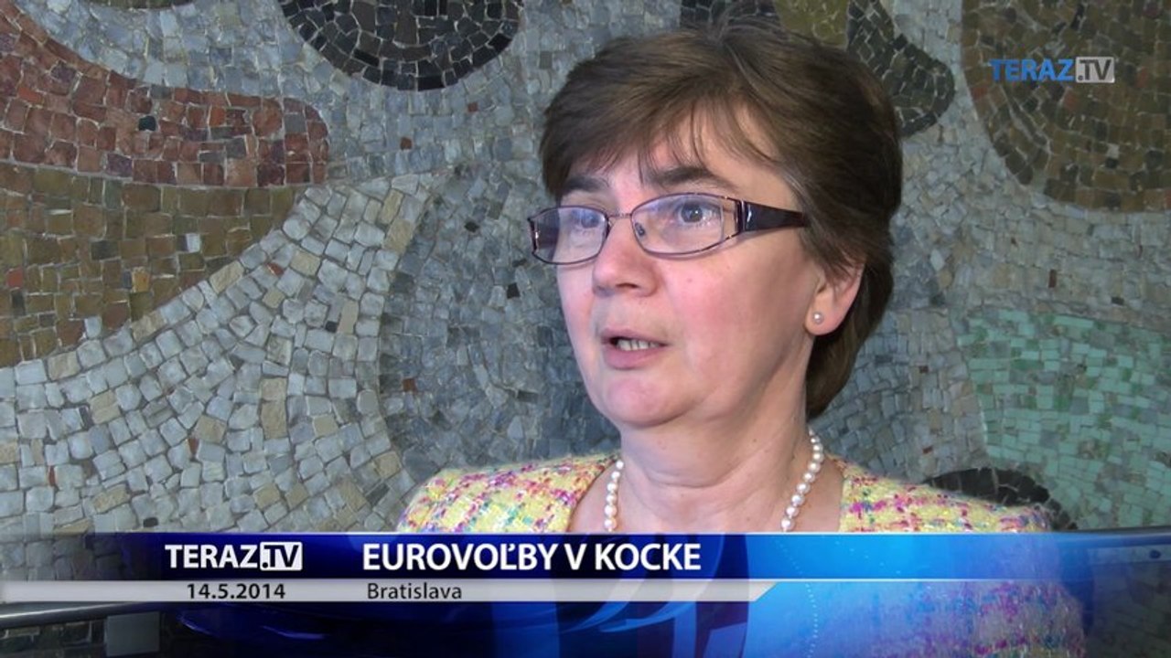Prekonáme 20 percentnú účasť v eurovoľbách?