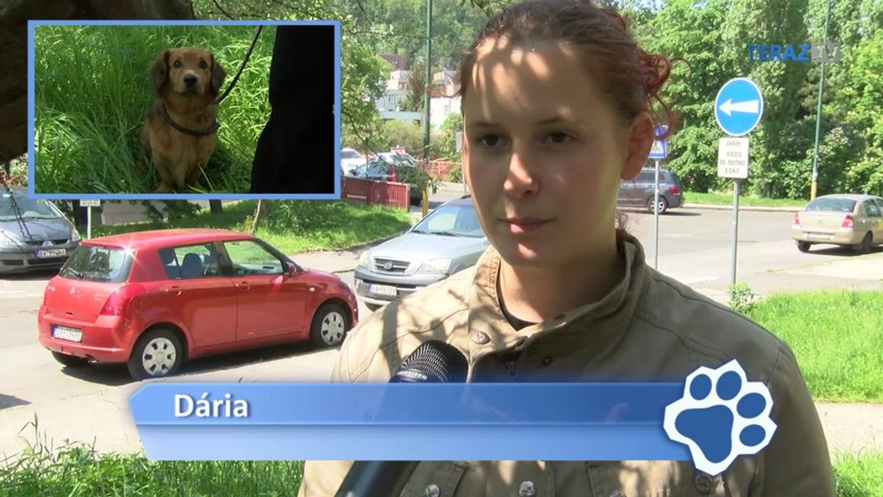 Zuzka si adoptovala demolátorku bytu