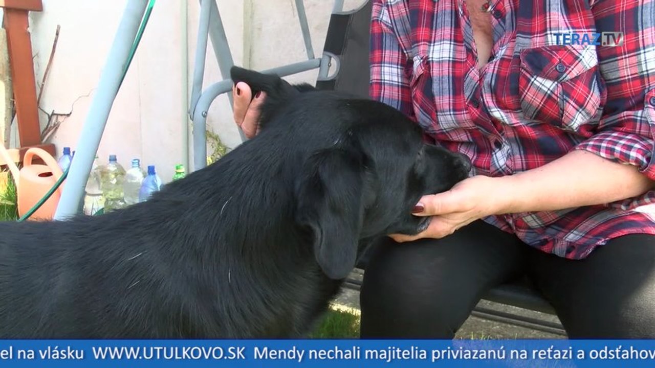 Cesta Baxa z rómskej osady do Hamuliakova