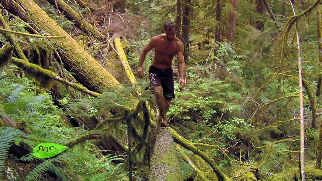 Erwan Le Corre Training in Nature | By MovNat