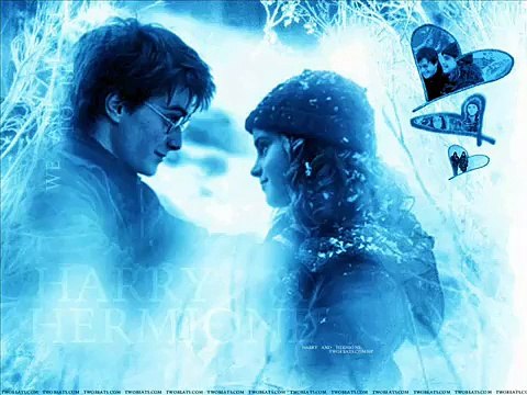 harry poter and hermione granger