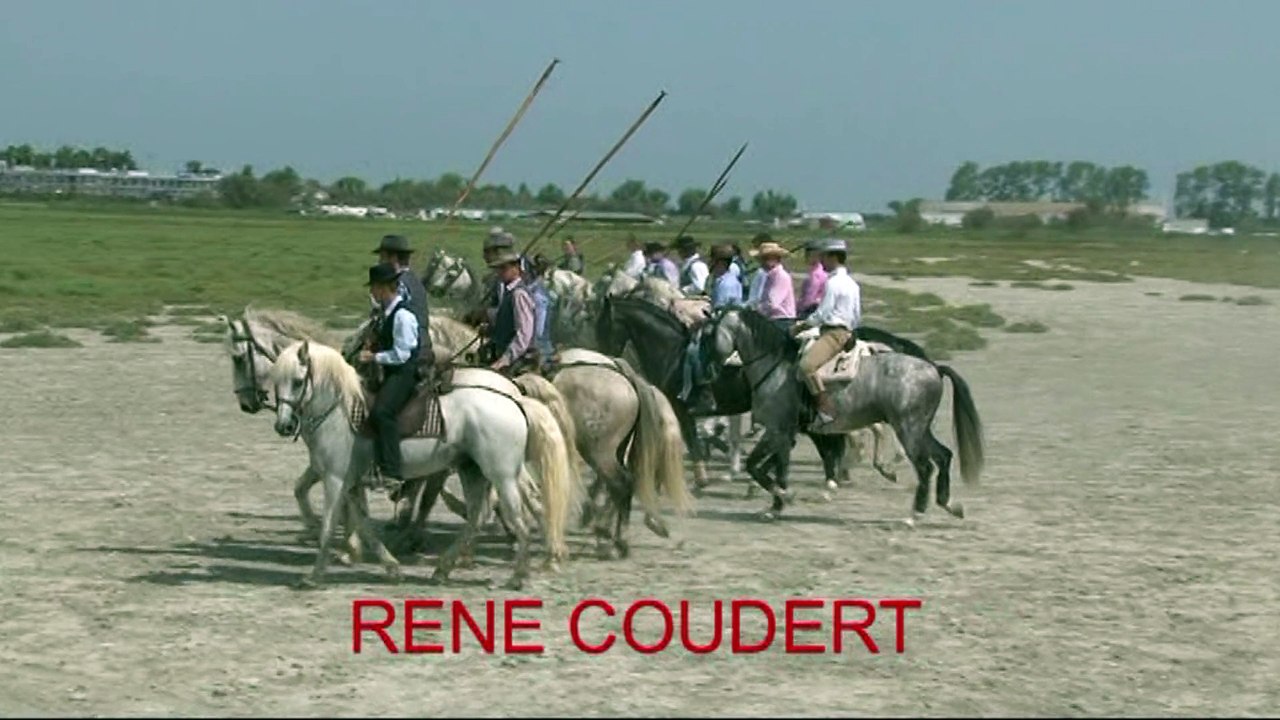 DOMAINE DE MEJANES "ACOSO Y D'ERRIBO" 2015