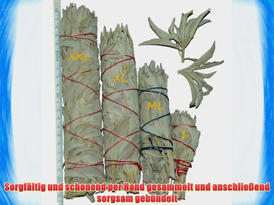 R?ucherwerk: Gro?er wei?er Salbei-Stab -- ca. 90-105 Gramm von Native-Spirit.eu -- Smudge Stick