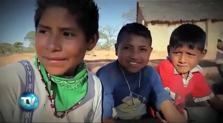 Reporte Indigo (Edición 531): Indígenas hasta en los genes