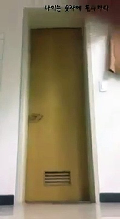 funny toilet