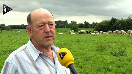 Les circuits courts : solution à la crise de l'agriculture ?