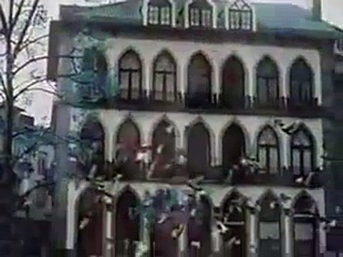 Coração Insano (Música trilha sonora tema da vilã Novela Prova de amor)