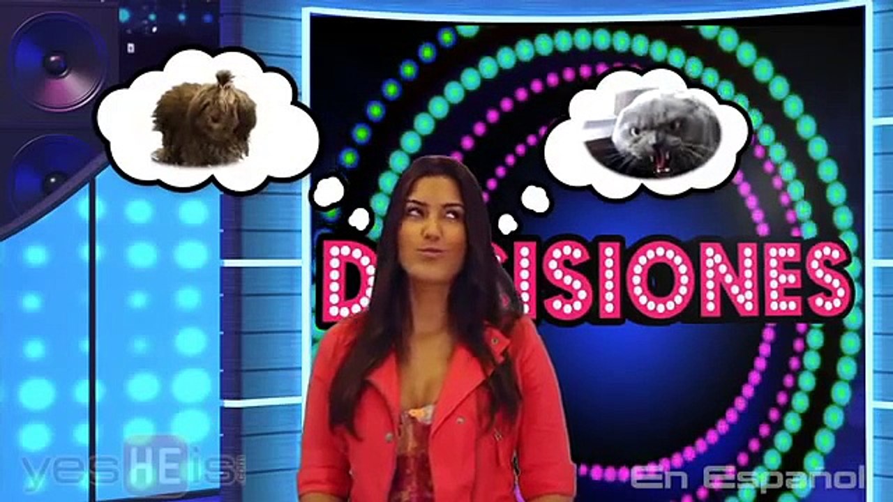 Decisiones