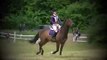 Hobby Horse Farms Schooling Eventing Show (Talk me down)