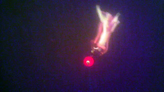 Catfishing with worms calmar Water Wolf HD Underwater Camera - Meuse Belgium