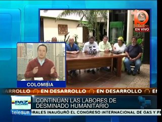 Colombia: reanudan acciones de desminado humanitario