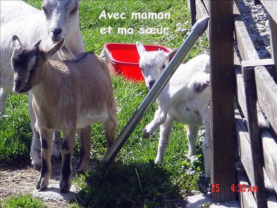 AU_REVOIR_DJOGUY