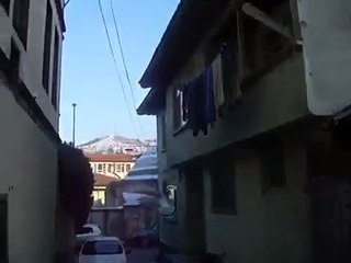 güvercin videoları