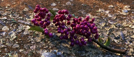 O Bom Dinossauro - Trailer