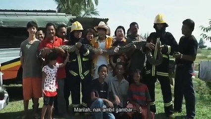 The Big Day! Woohoo! ( 大日子 woohoo! 2010)